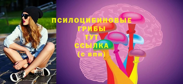 гашик Алексеевка