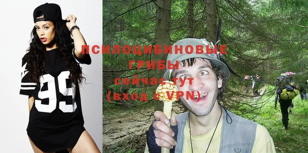 гашик Алексеевка