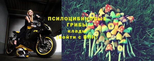 гашик Алексеевка