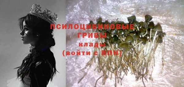 гашик Алексеевка