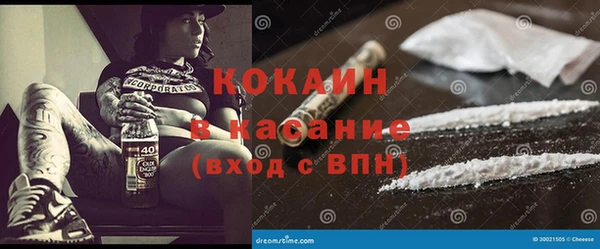 гашик Алексеевка