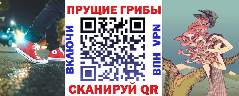 Галлюциногенные грибы Cubensis  Себеж 